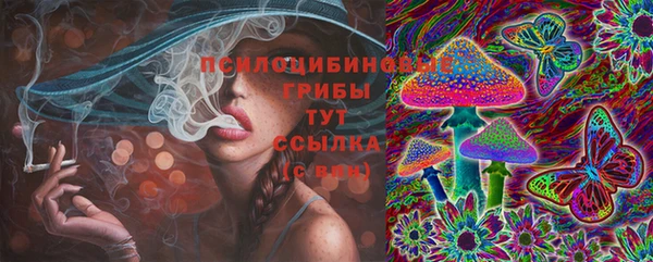 героин Алексин