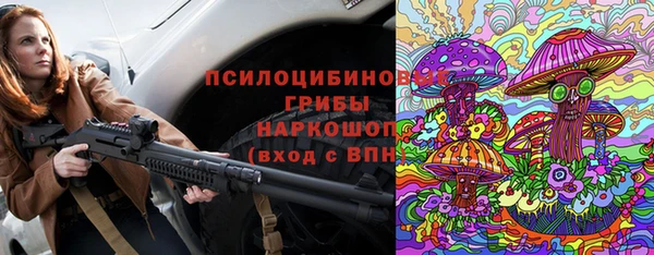 СК Алексеевка